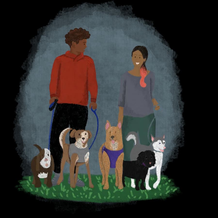 Dog walkers working together